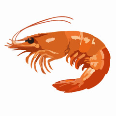 Shrimp vector clipart art illustration solid white background 