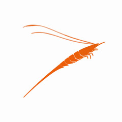 Shrimp vector clipart art illustration solid white background 