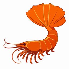 Shrimp vector clipart art illustration solid white background 
