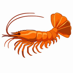 Shrimp vector clipart art illustration solid white background 
