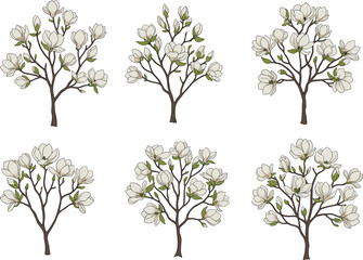 Obraz premium Flowering tree illustration set, botanical sketch styles, seasonal bloom vector, nature design, white blossoms, six trees, foliage art