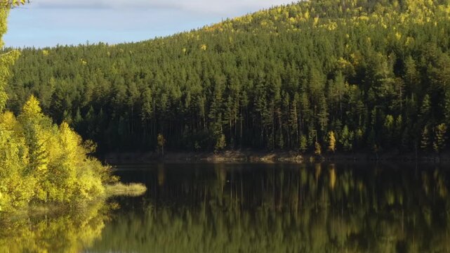 A beautiful, serene panorama of a forest bank reflecting in the calm water of a lake during a sunny autumn evening in the Southern Urals region of Russia. Lush green pine trees and vibrant yellow deci