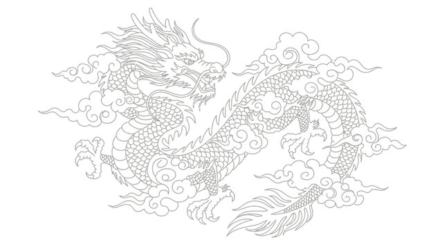 chinese dragon illustration