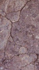 Obraz premium Generative AI Cracked Earth Texture with Natural Surface Details