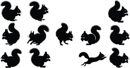 Squirrel silhouette collection, cute forest animal poses set, wildlife rodent illustration vector isolated on white background