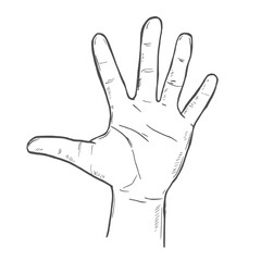 Simple line drawing of an open hand with fingers spread, isolated on white background, representing a gesture or symbol
