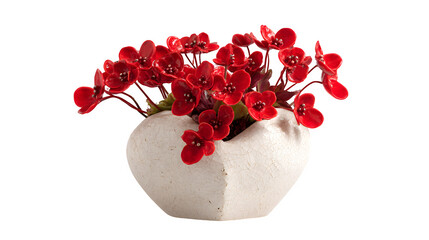 Red flowers in textured pot isolated on transparent background