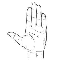Open human hand with fingers spread out palm up gesture. Stop symbol or greeting sign.