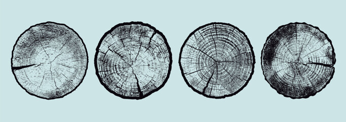 Three detailed tree ring patterns with brown wood grain texture set. Natural wooden cross section designs for eco-friendly art, rustic decor, nature backgrounds, packaging, posters, organic design. © Anatoliy
