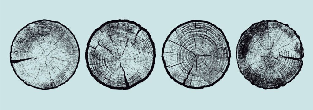 Three detailed tree ring patterns with brown wood grain texture set. Natural wooden cross section designs for eco-friendly art, rustic decor, nature backgrounds, packaging, posters, organic design.