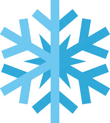 Large Snowflake Symbol Icon