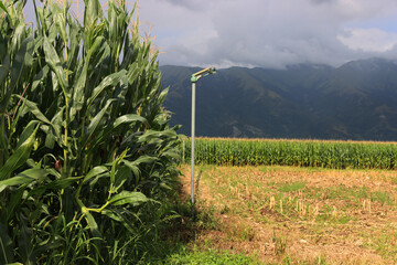 Fototapete bei efototapeten.de bestellen   