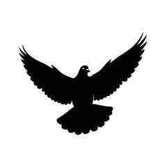 Obraz premium A striking silhouette of a bird with wings outstretched in flight