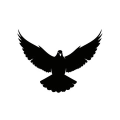 Obraz premium A striking silhouette of a bird with wings fully extended in flight