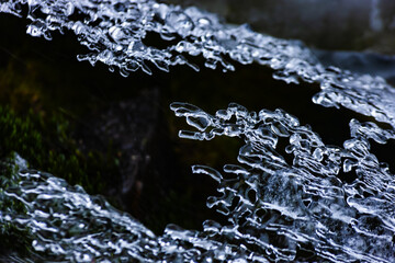 渓流の氷	