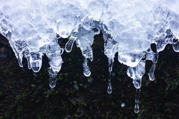渓流の氷	