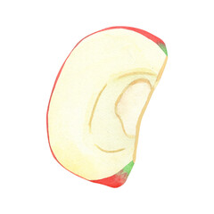 Illustration of an apple slice, a hand-drawn watercolor fruit. Ripe, realistic seasonal fruit.