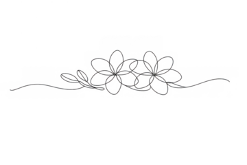 Floral line art drawing, delicate blossoms forming an elegant botanical design, transparent background