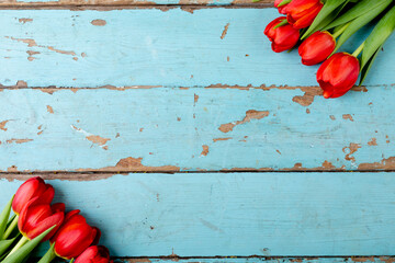 Overhead view of fresh red tulips on blue table with copy space © wavebreak3