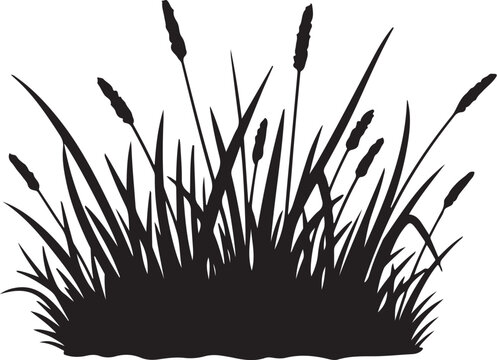 Black Silhouette of Cattails and Grass on White Background