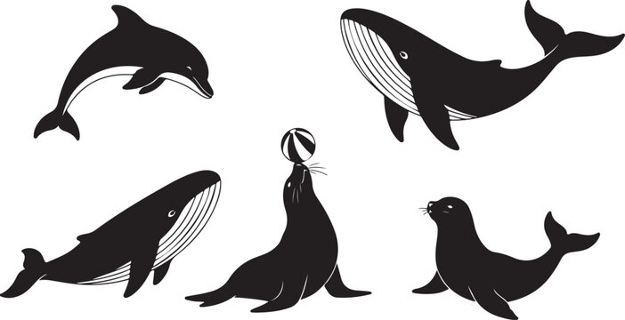 Black silhouettes of whales and seals on white background