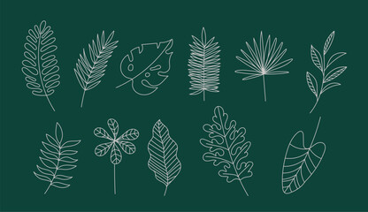 Botanical Leaf Line Art Bundle &ndash; Tropical and Forest Outline