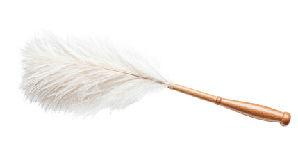 White feather duster on transparent background