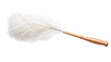 White feather duster on transparent background