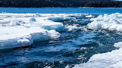 Floating ice chunks on a partially frozen lake with clear blue water and distant forested shoreline