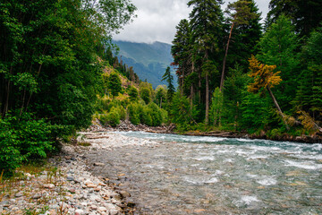 a turquoise mountain river in a green coniferous forest © Павел Чигирь