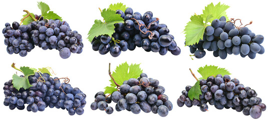 Collection grapes isolated on white