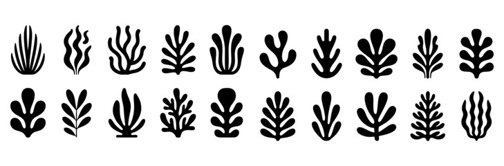 Obraz premium Collection of black coral and seaweed silhouettes arranged in a horizontal row on a white background