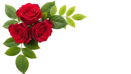 Corner arrangement of vivid red roses and green leaves