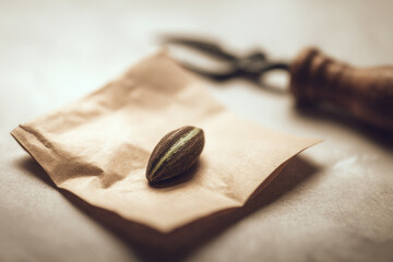 Spring planning for garden begins with selecting seeds and preparing tools creating hopeful and calm atmosphere for new growth and fresh beginnings