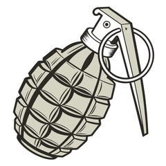 hand holding a grenade
