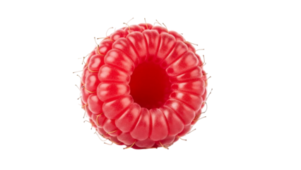 Single vibrant red raspberry fruit macro view