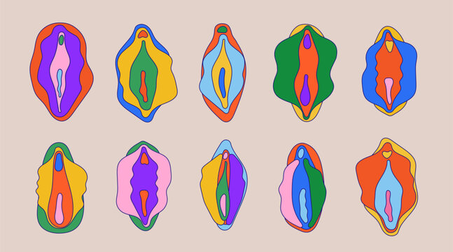 Female reproductive system set. Anatomical vulva, vagina diagrams in a clean, educational style. Beauty, health concept. Medical for education, awareness, biology, gynecology, women&rsquo;s health topics.