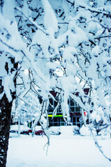 Winter cityscape with snow 