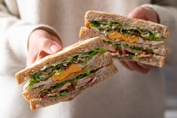 Whole wheat bread sandwich with bacon, lettuce, tomato and fried egg holding by woman hand