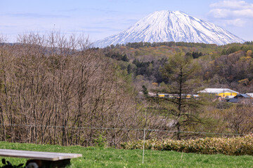 北海道共和町、丘から眺めた羊蹄山と裾野に広がる春紅葉【5月】