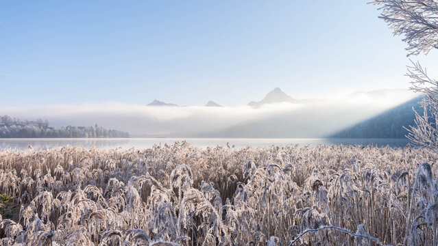 Frosty Sunrise over Weissensee in Bavaria Allgaeu Germany with great sunny Winter Vibes. High quality photo