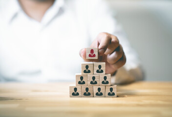 The organization has appointed a woman as the new team leader to strengthen leadership diversity