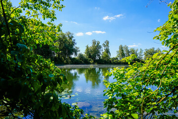 View of the Schallweiher pond at Karsfeld Lake and the surrounding green landscape. Nature by the lake in Bavaria near Karsfeld.
