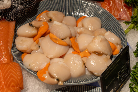 Freshly cleaned Saint Jaques scallops without shells, premium, ocean-fresh, tender, perfect for gourmet seafood dishes or elegant appetizers