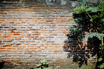 Rustic red brick wall illuminated by natural sunlight with soft shadows, creating a warm and textured background.