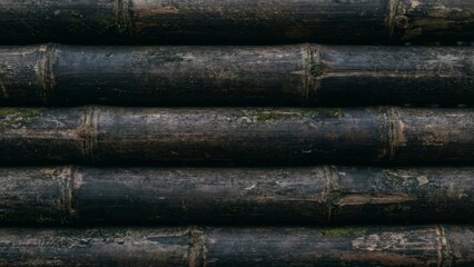Fototapeta premium Dark Bamboo Wall Texture Background Close Up.