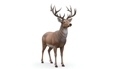 Majestic brown deer standing with large antlers isolated on white background for wildlife and nature theme