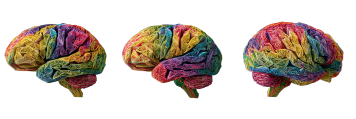 Vibrant, colorful, segmented brain in three side-by-side views