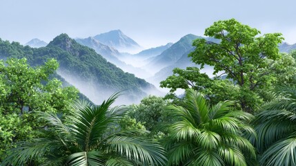 Lush tropical rainforest landscape with misty mountains and dense green foliage.
