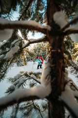 a female tourist with a red backpack walks through a winter snow-covered coniferous forest
